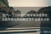 国产一二三四2022精字窝深度研究：从剧本孵化到后期宣发的全链条分析