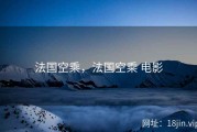 法国空乘，法国空乘 电影