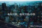 电车只狼，电车只狼r存档
