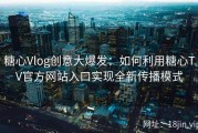 糖心Vlog创意大爆发：如何利用糖心TV官方网站入口实现全新传播模式