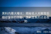 黑料内幕大曝光：揭秘名人光鲜背后错综复杂的阴影，黑料是真的还是假的