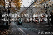 麻豆网幕后专业团队：审片组、策划组与技术组的分工与协作，麻豆剧社