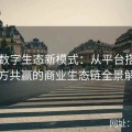 91网数字生态新模式：从平台搭建到多方共赢的商业生态链全景解读