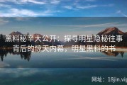 黑料秘辛大公开：探寻明星隐秘往事背后的惊天内幕，明星黑料的书