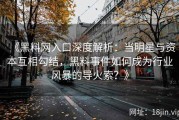 《黑料网入口深度解析：当明星与资本互相勾结，黑料事件如何成为行业风暴的导火索？》
