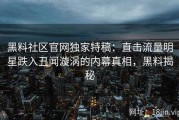 黑料社区官网独家特稿：直击流量明星跌入丑闻漩涡的内幕真相，黑料揭秘