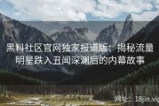 黑料社区官网独家报道版：揭秘流量明星跌入丑闻深渊后的内幕故事