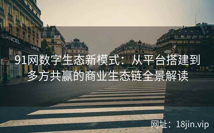 91网数字生态新模式：从平台搭建到多方共赢的商业生态链全景解读