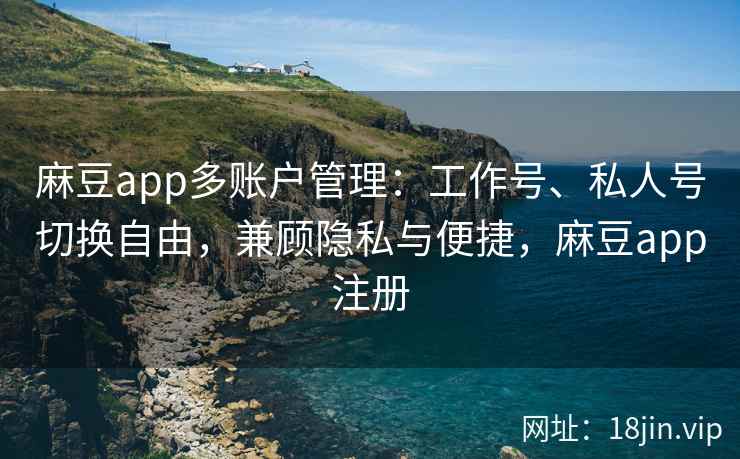 麻豆app多账户管理：工作号、私人号切换自由，兼顾隐私与便捷，麻豆app注册