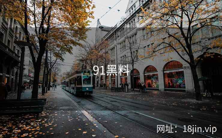 91黑料