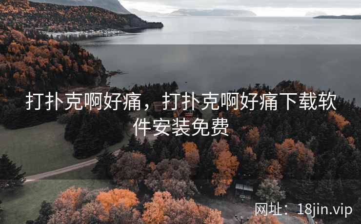 打扑克啊好痛，打扑克啊好痛下载软件安装免费