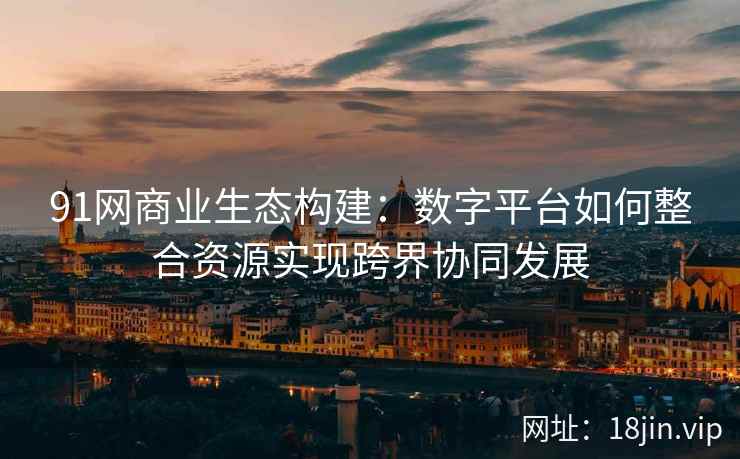 91网商业生态构建：数字平台如何整合资源实现跨界协同发展