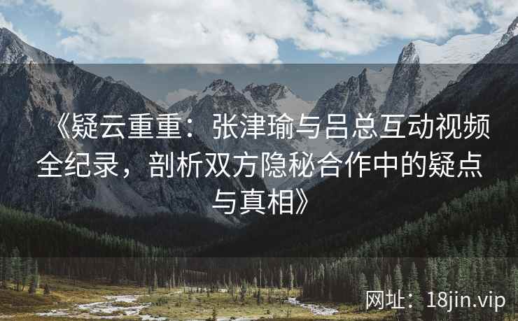《疑云重重：张津瑜与吕总互动视频全纪录，剖析双方隐秘合作中的疑点与真相》