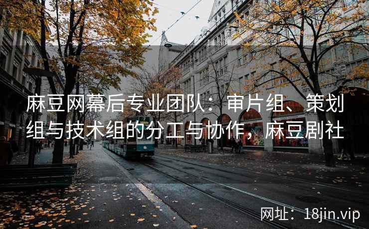 麻豆网幕后专业团队：审片组、策划组与技术组的分工与协作，麻豆剧社