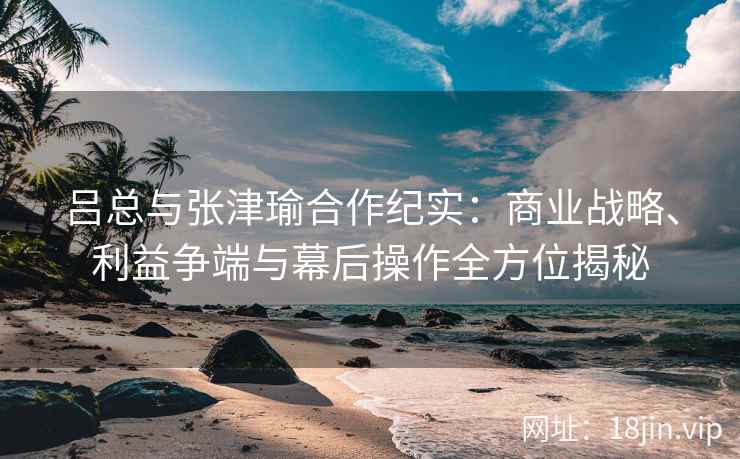 吕总与张津瑜合作纪实：商业战略、利益争端与幕后操作全方位揭秘